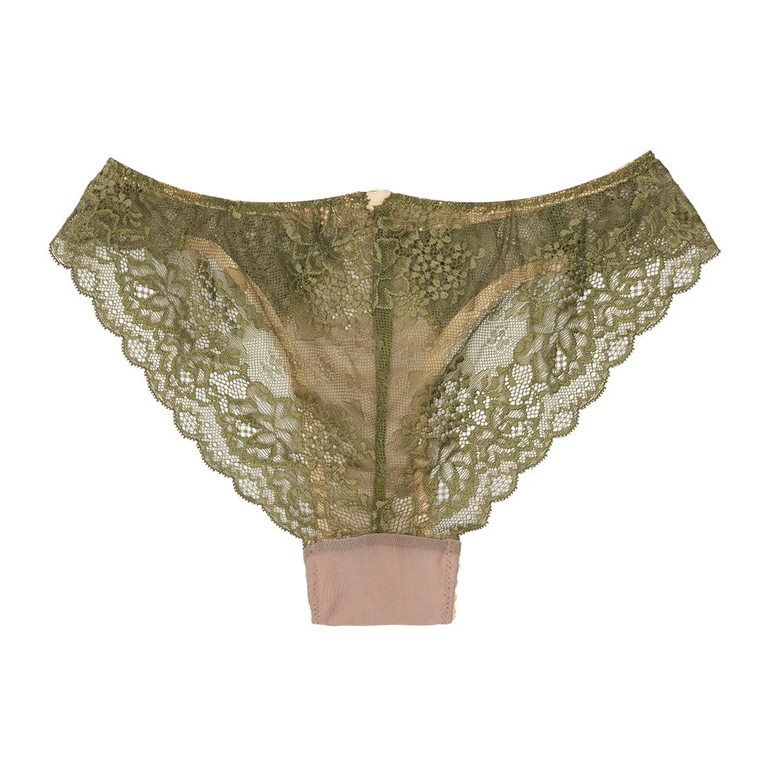 Vedetina japonesa - EMAJAP09A - Image 5