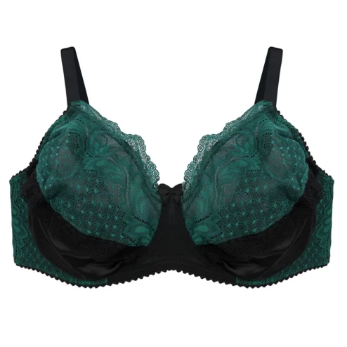 Corpiño con arco - SARPLS09A09